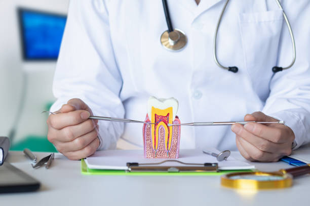 Best Emergency Tooth Extraction in Aquia Harbour, VA